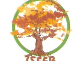 Logo Grupo Isfer