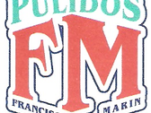 Logo Pulidos Y Cristalizados Marín