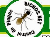 Logo Bichos.net Control de Plagas