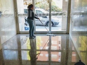 Limpieza Comunidades Edificios Empresas Locales