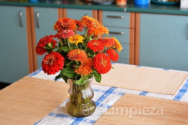Prepara tu casa para el verano: 6 consejos de limpieza