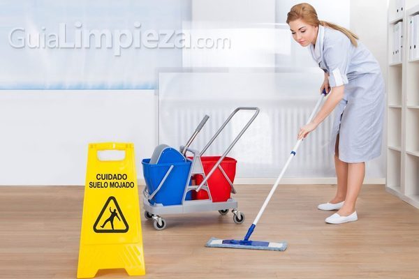 ¿Cuál es el precio de una empresa de limpieza?