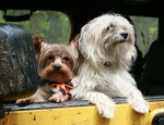 Cómo mantener nuestro coche limpio