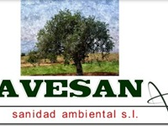 Avesan