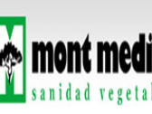 Mont Medi