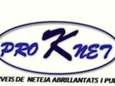 Proknet Serveis De Neteja, Pulits I Abrillantats