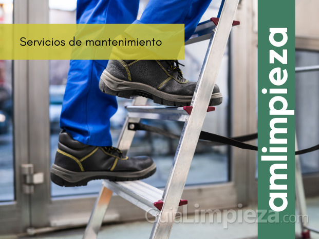 Servicios de mantenimiento.