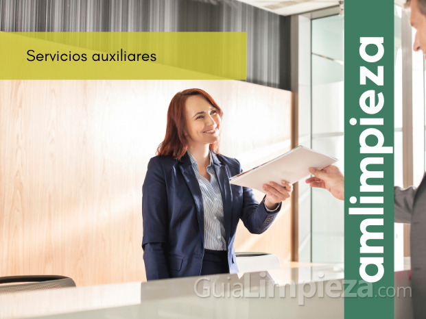 Servicios auxiliares. 