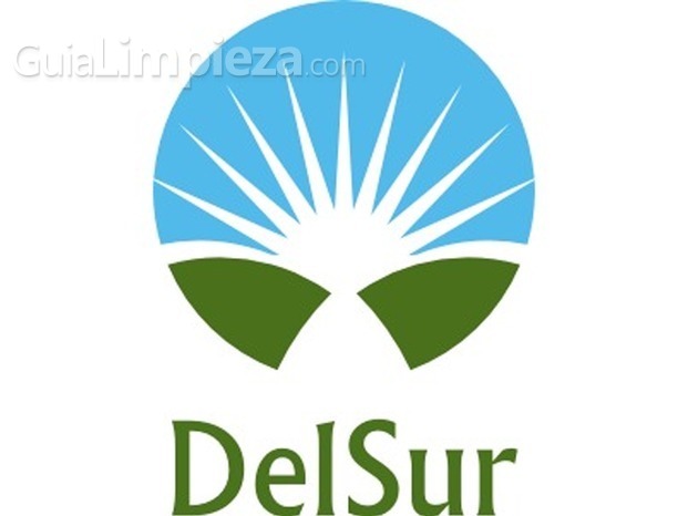 Delsur