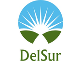 DelSur