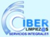 Ciberlimpiezas