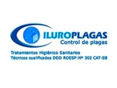 Iluro Plagas