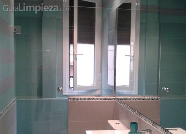 Limpieza baño obra