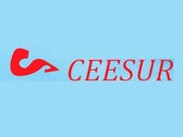 Ceesur, Servicios Integrales De Limpieza