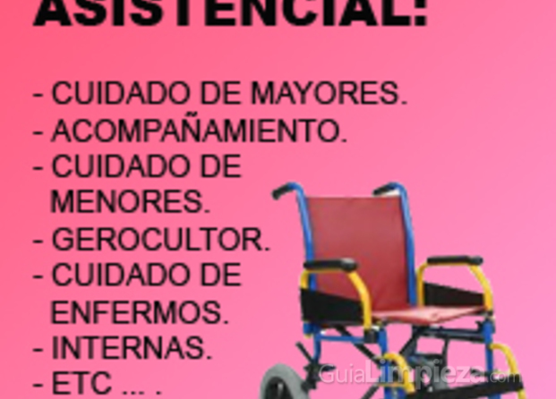 Servicio asistencial