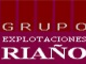 Grupo Explotaciones Riaño