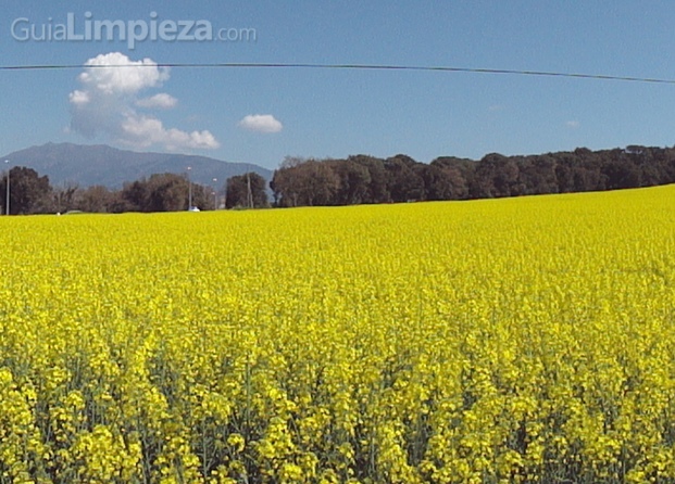 Baix Montseny