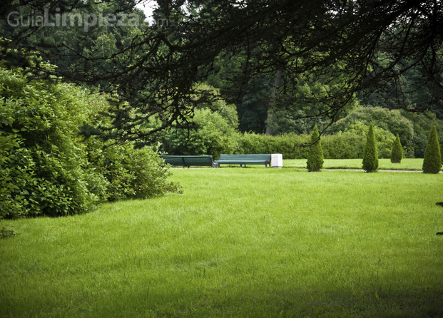 Mantenimiento de parques y jardines