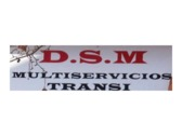 Dsm Multiservicios