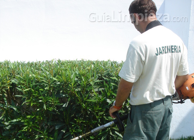 Mantenimiento de Jardinería