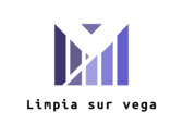 Limpieza Sur Vega