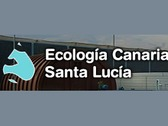 Ecologia Canaria Santa Lucia