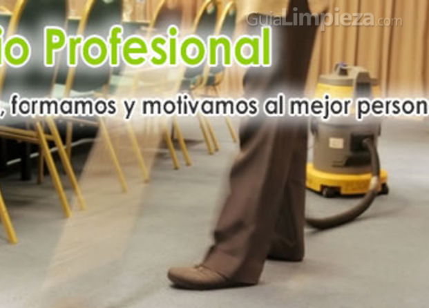 Servicio profesional