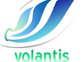 Volantis Servicios