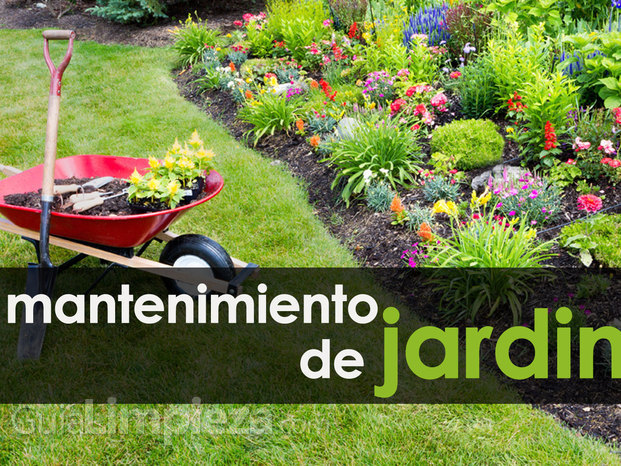 Todo tipo de mantenimiento de jardines y poda.