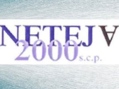 Neteja 2000