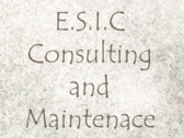 E.s.i.c Consulting And Maintenace
