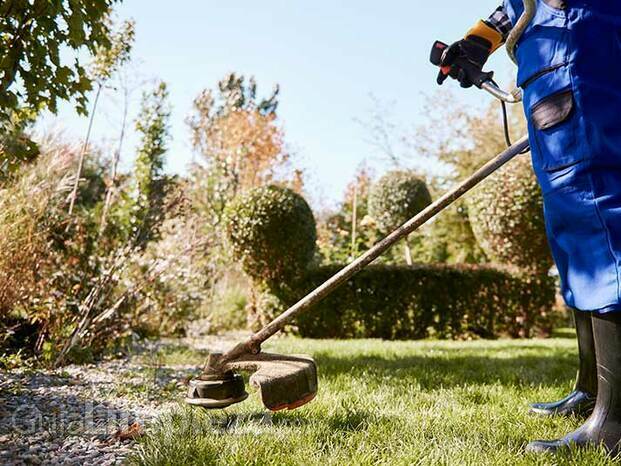 Jardinería