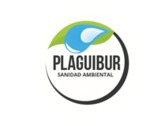 Plaguibur
