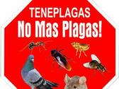 Teneplagas