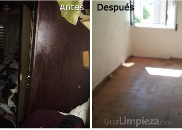 Diógenes antes y después