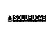 Solufugas