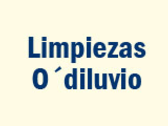 Limpiezas El Diluvio 1996