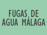 Fugas De Agua Málaga