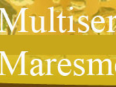 Multiserveis Maresme