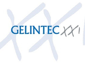 Logo Gelintec XXI