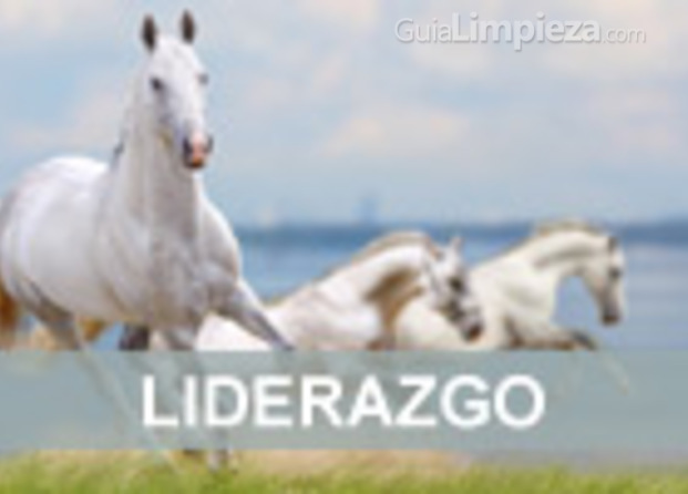 Liderazgo