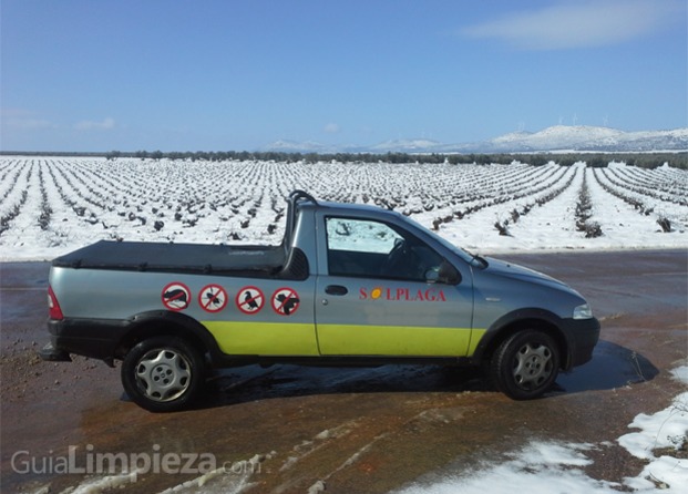 Coche empresa pick up