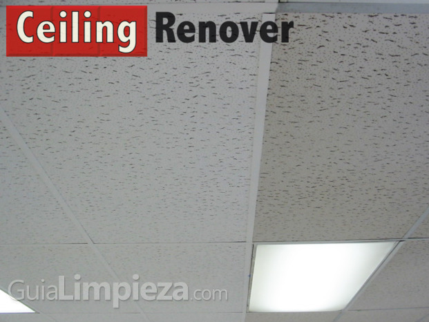 Limpieza de techo de escayola por Ceiling Renover