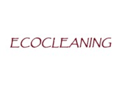 Ecocleaning