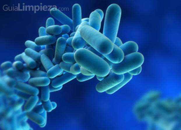 Control legionella