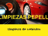 Limpiezas Pepelu