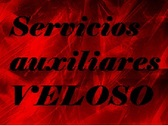 Servicios Auxiliares Veloso