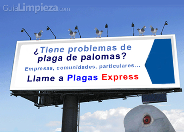 Plaga de palomas