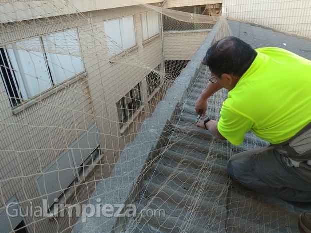 Instalación de redes de exclusión anti-aves