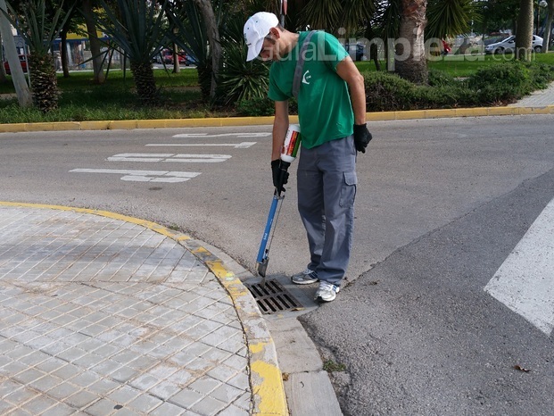 Tratamiento contra mosquito tigre